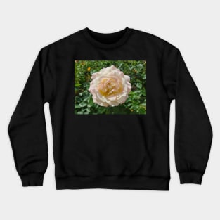 Pink Rose Crewneck Sweatshirt